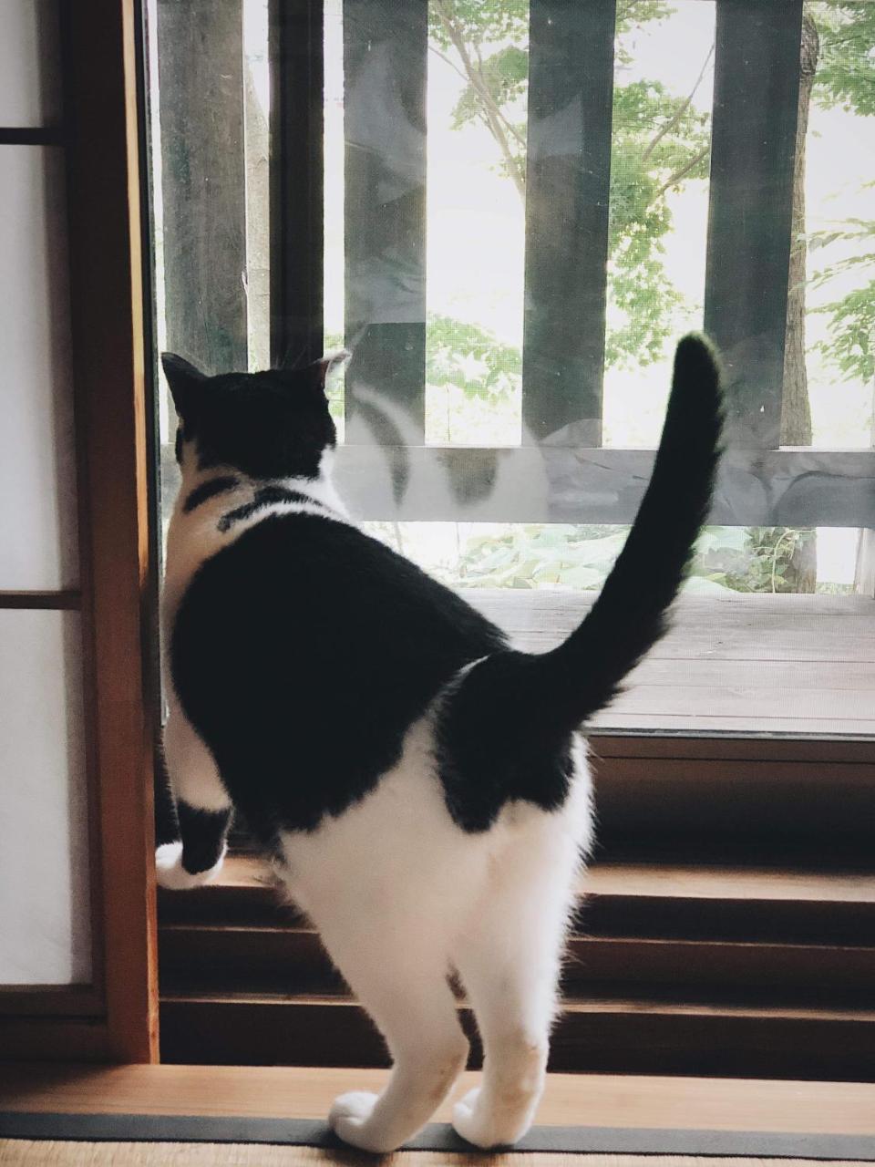 Noka Minshuku Sanzen Villa Tōkamachi Dış mekan fotoğraf