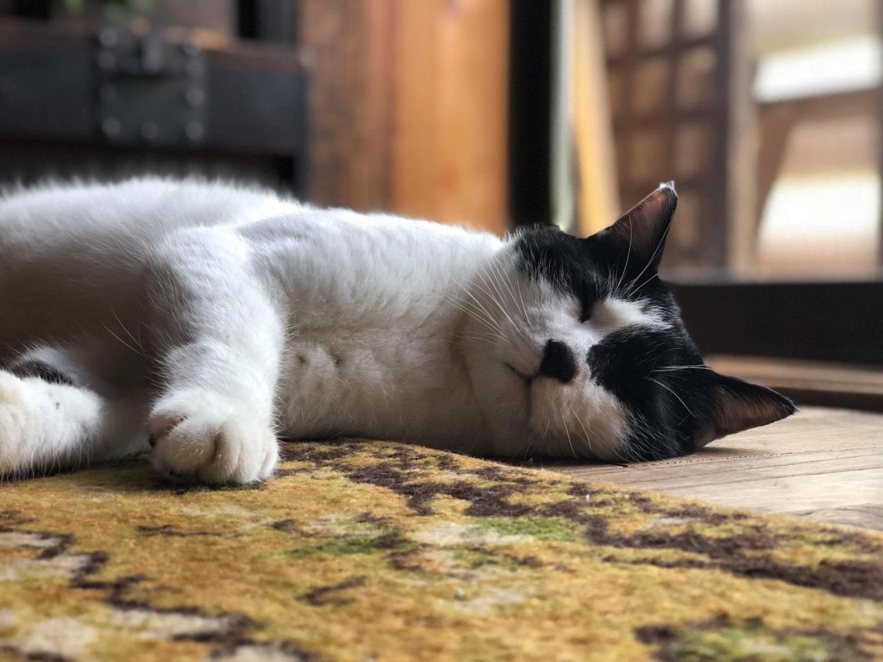 Noka Minshuku Sanzen Villa Tōkamachi Dış mekan fotoğraf